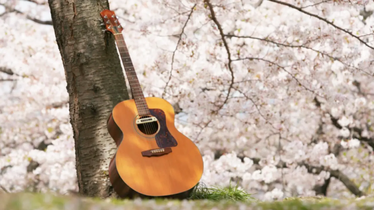 ギターと桜